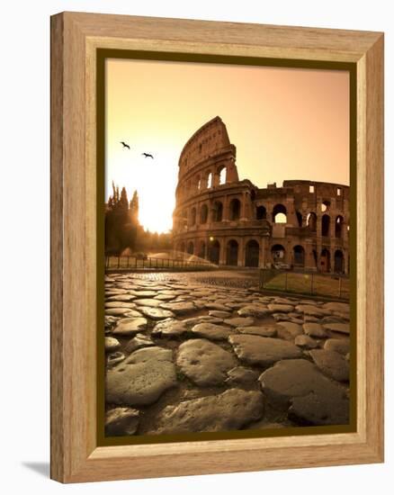 Colosseum and Via Sacra, Sunrise, Rome, Italy-Michele Falzone-Framed Premier Image Canvas