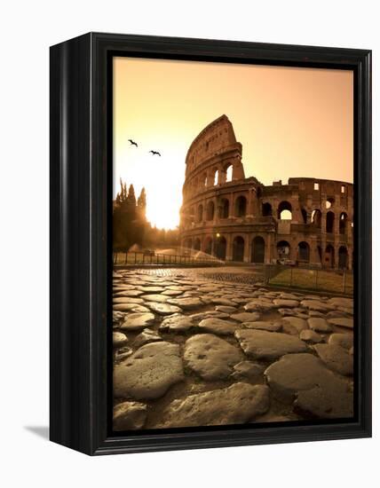 Colosseum and Via Sacra, Sunrise, Rome, Italy-Michele Falzone-Framed Premier Image Canvas