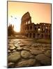 Colosseum and Via Sacra, Sunrise, Rome, Italy-Michele Falzone-Mounted Photographic Print