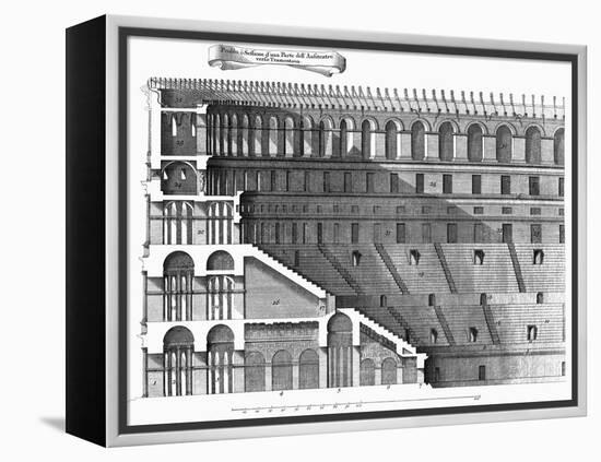 Colosseum: Cross-Section-null-Framed Premier Image Canvas