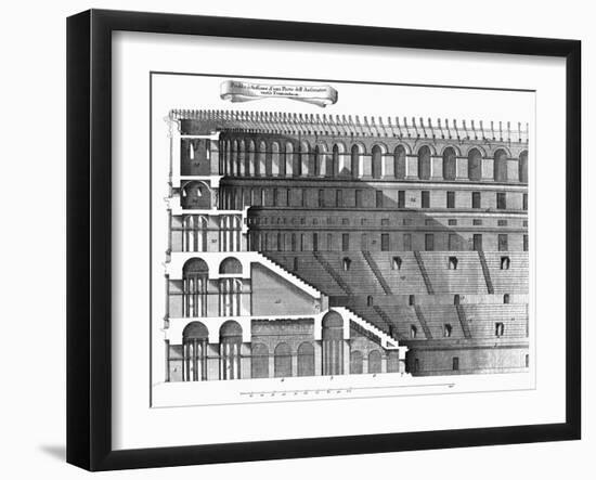 Colosseum: Cross-Section-null-Framed Giclee Print