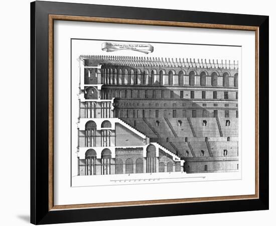 Colosseum: Cross-Section-null-Framed Giclee Print