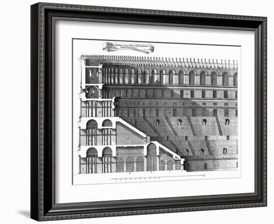 Colosseum: Cross-Section-null-Framed Giclee Print