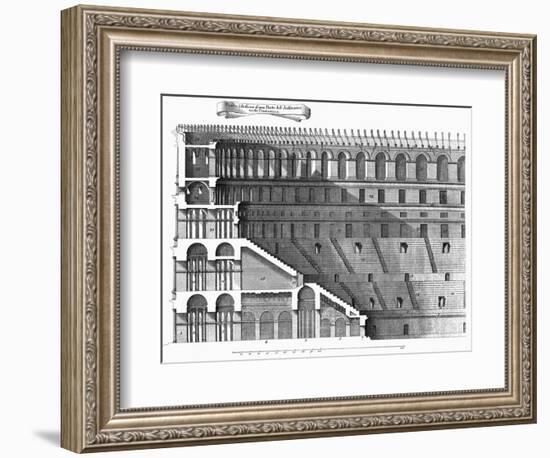 Colosseum: Cross-Section-null-Framed Giclee Print
