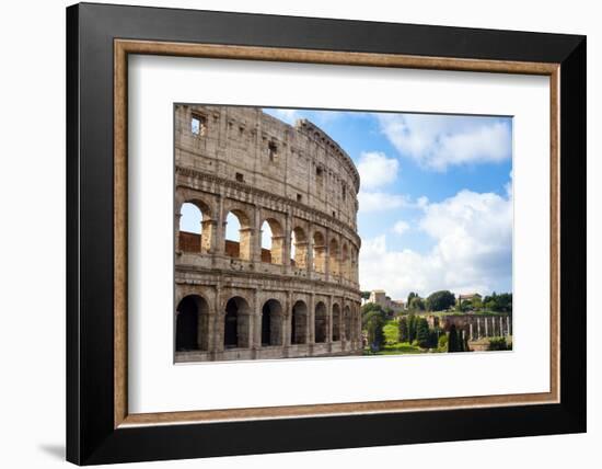 Colosseum (Flavian Amphitheatre), UNESCO World Heritage Site, Rome, Lazio, Italy, Europe-Nico Tondini-Framed Photographic Print