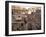 Colosseum Ruins, Rome, Italy-Bill Bachmann-Framed Photographic Print