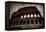 Colosseum-Stefan Nielsen-Framed Premier Image Canvas