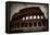 Colosseum-Stefan Nielsen-Framed Premier Image Canvas