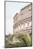 Colosseum-Henrike Schenk-Mounted Photographic Print