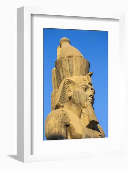 Colossi of Ramesses II in The First Court, Luxor Temple, UNESCO World Heritage Site, Luxor, Egypt, -Jane Sweeney-Framed Photographic Print