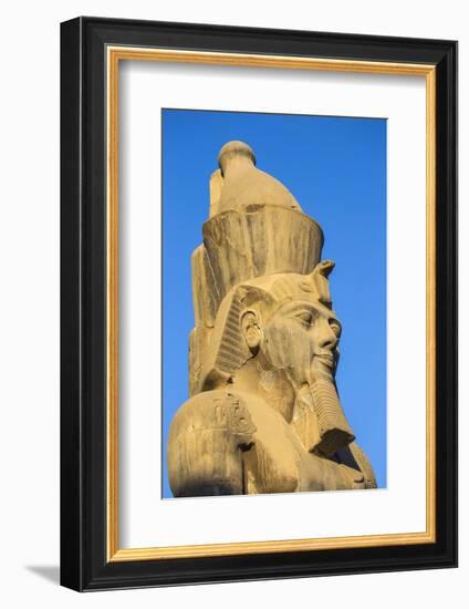 Colossi of Ramesses II in The First Court, Luxor Temple, UNESCO World Heritage Site, Luxor, Egypt, -Jane Sweeney-Framed Photographic Print