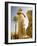 Colossus of Ramses Ii and a Favorite Daughter in Karnak Temple, Luxor, Egypt-Dave Bartruff-Framed Photographic Print