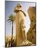 Colossus of Ramses Ii and a Favorite Daughter in Karnak Temple, Luxor, Egypt-Dave Bartruff-Mounted Photographic Print