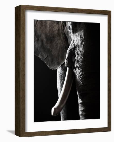 Colossus-Bruno Abarco-Framed Photographic Print