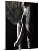 Colossus-Bruno Abarco-Mounted Photographic Print