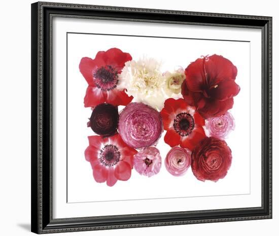 Colour Cluster II-Katja Marzahn-Framed Giclee Print