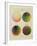 Colour Globes for Copper, Aquatint and Watercolour-Philipp Otto Runge-Framed Giclee Print