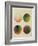 Colour Globes for Copper, Aquatint and Watercolour-Philipp Otto Runge-Framed Giclee Print