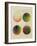 Colour Globes for Copper, Aquatint and Watercolour-Philipp Otto Runge-Framed Giclee Print