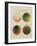 Colour Globes for Copper, Aquatint and Watercolour-Philipp Otto Runge-Framed Giclee Print