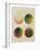 Colour Globes for Copper, Aquatint and Watercolour-Philipp Otto Runge-Framed Giclee Print