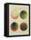 Colour Globes for Copper, Aquatint and Watercolour-Philipp Otto Runge-Framed Premier Image Canvas