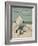 Colour Illustrated Cover Showing a Boy Scout Watching a Ship On the Horizon-null-Framed Giclee Print