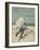 Colour Illustrated Cover Showing a Boy Scout Watching a Ship On the Horizon-null-Framed Giclee Print