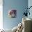 Colour Pop-Sylvia Paul-Giclee Print displayed on a wall