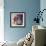 Colour Pop-Sylvia Paul-Framed Giclee Print displayed on a wall