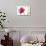 Colour Splash II-Sandra Jacobs-Giclee Print displayed on a wall