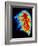 Coloured Angiogram of Pulmonary Arteries of Lung-Science Photo Library-Framed Photographic Print