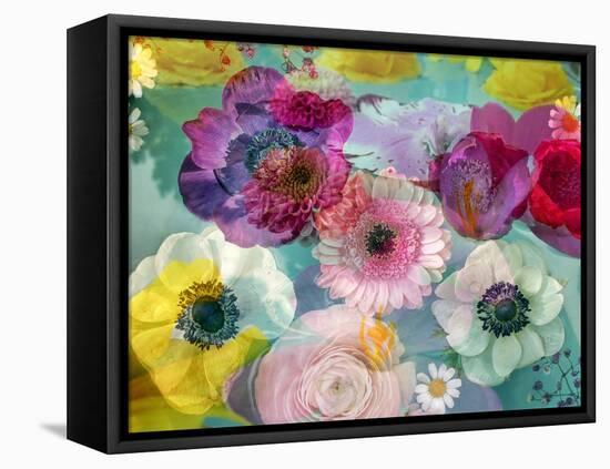 Coloured Blossoms in Blue Water-Alaya Gadeh-Framed Premier Image Canvas