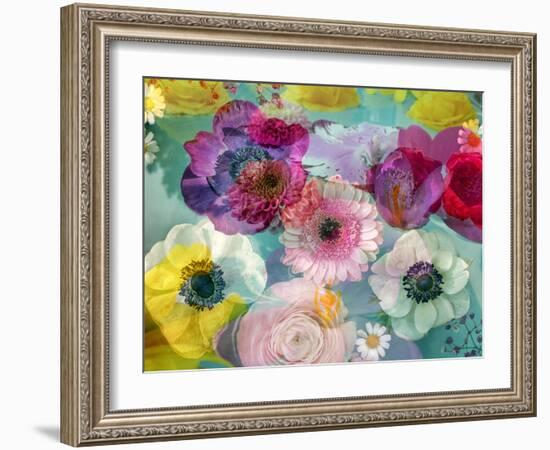 Coloured Blossoms in Blue Water-Alaya Gadeh-Framed Photographic Print
