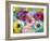 Coloured Blossoms in Blue Water-Alaya Gadeh-Framed Photographic Print