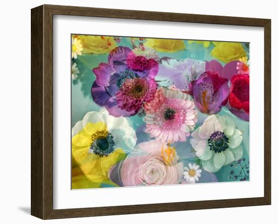 Coloured Blossoms in Blue Water-Alaya Gadeh-Framed Photographic Print