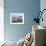 Coloured Deck Chairs on the Pebble Strand, Brighton, Sussex, England, Uk-null-Framed Photographic Print displayed on a wall