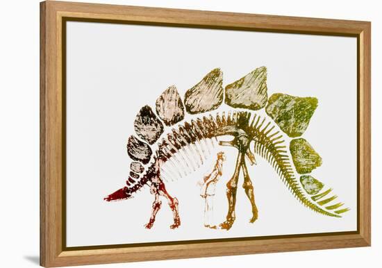 Coloured Engraving of a Stegosaurus Dinosaur-Mehau Kulyk-Framed Premier Image Canvas
