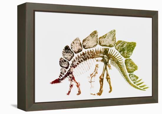 Coloured Engraving of a Stegosaurus Dinosaur-Mehau Kulyk-Framed Premier Image Canvas