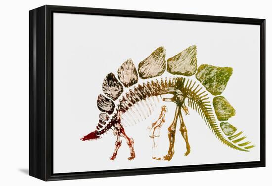 Coloured Engraving of a Stegosaurus Dinosaur-Mehau Kulyk-Framed Premier Image Canvas