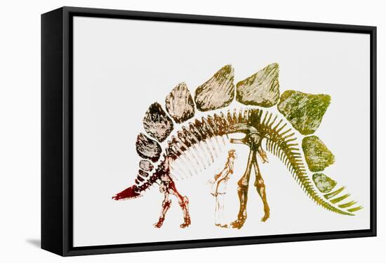 Coloured Engraving of a Stegosaurus Dinosaur-Mehau Kulyk-Framed Premier Image Canvas