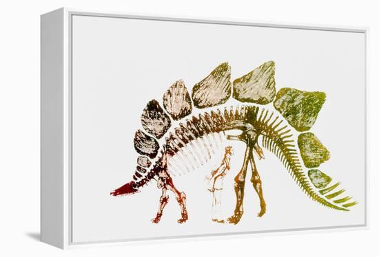 Coloured Engraving of a Stegosaurus Dinosaur-Mehau Kulyk-Framed Premier Image Canvas