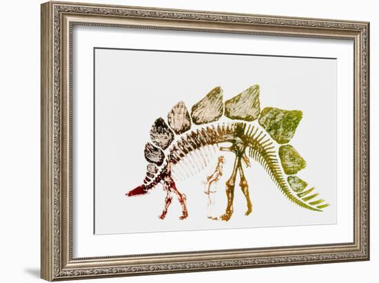 Coloured Engraving of a Stegosaurus Dinosaur-Mehau Kulyk-Framed Photographic Print