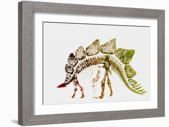 Coloured Engraving of a Stegosaurus Dinosaur-Mehau Kulyk-Framed Photographic Print