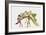 Coloured Engraving of a Stegosaurus Dinosaur-Mehau Kulyk-Framed Photographic Print