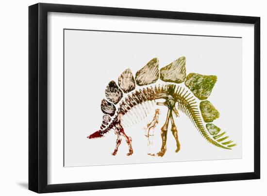 Coloured Engraving of a Stegosaurus Dinosaur-Mehau Kulyk-Framed Photographic Print