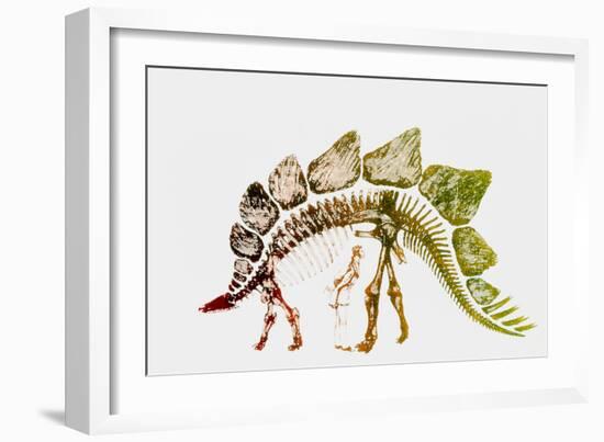 Coloured Engraving of a Stegosaurus Dinosaur-Mehau Kulyk-Framed Photographic Print