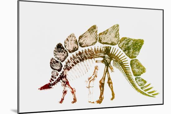 Coloured Engraving of a Stegosaurus Dinosaur-Mehau Kulyk-Mounted Photographic Print