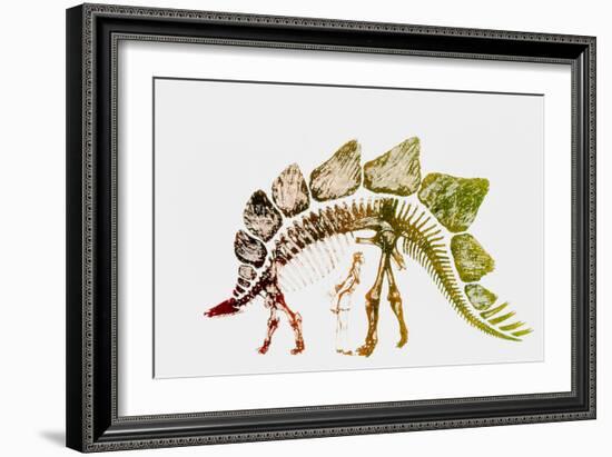 Coloured Engraving of a Stegosaurus Dinosaur-Mehau Kulyk-Framed Photographic Print