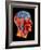 Coloured MRI Scan of the Human Head (side View)-PASIEKA-Framed Photographic Print